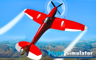 Image Real Flight Simulator